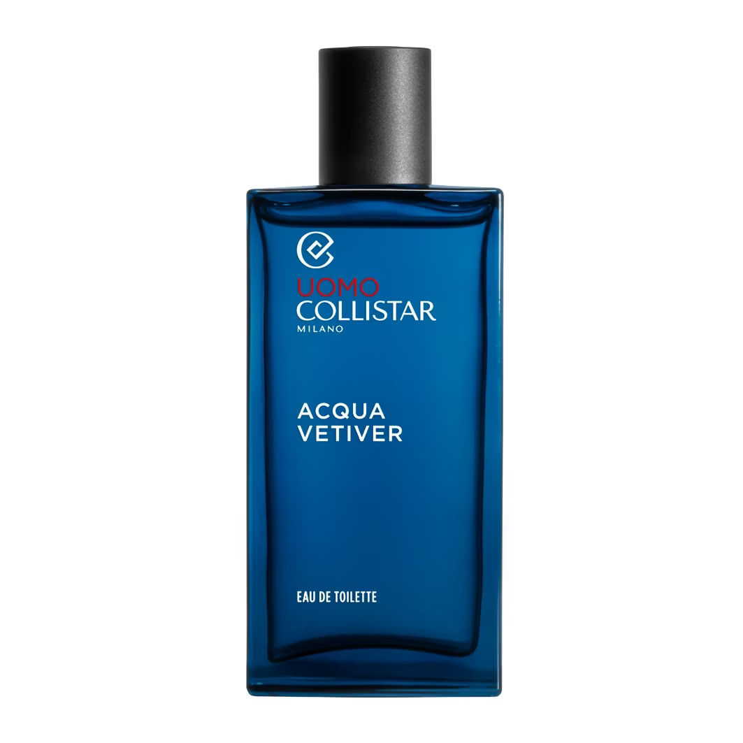 Acqua Vetiver Eau de toilette spray 100 ml