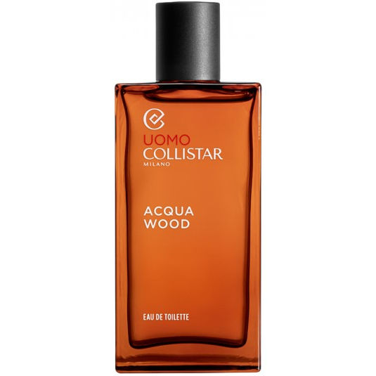 Acqua Wood Eau de toilette spray 100 ml