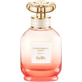 Dreams Sunset Eau de Parfum spray 40 ml
