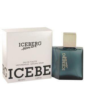 Iceberg
