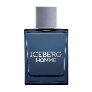 Iceberg